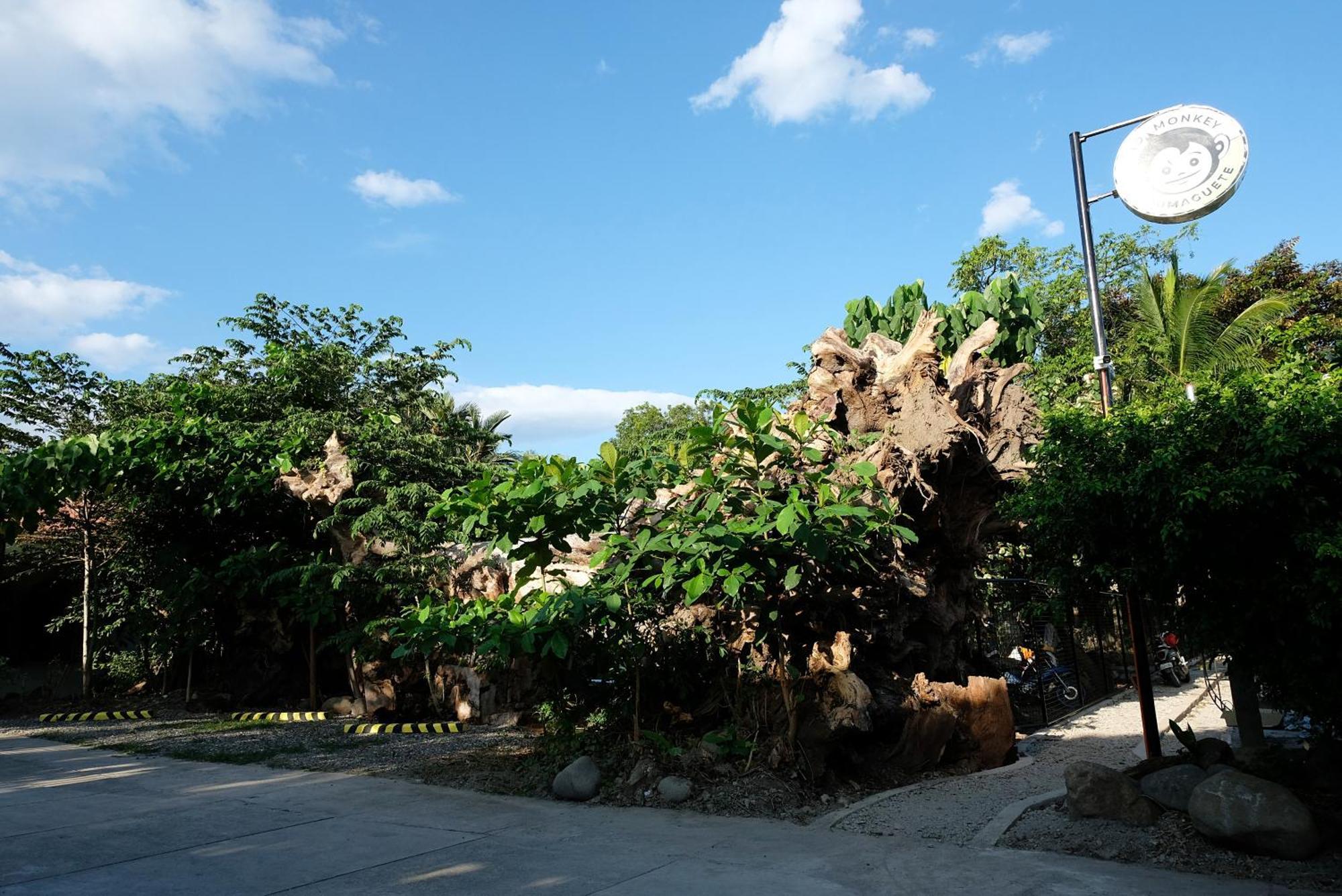 Ostello Mad Monkey Dumaguete Dumaguete City Esterno foto